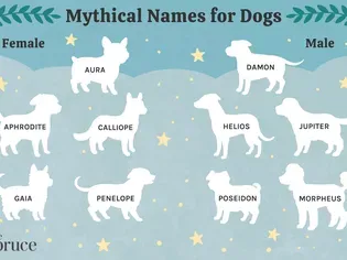 150 Mythical Dog Names