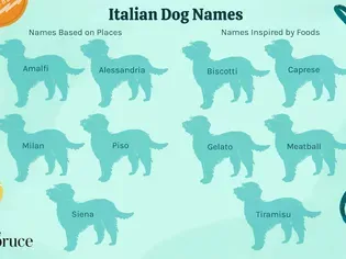 68 Italian Dog Names