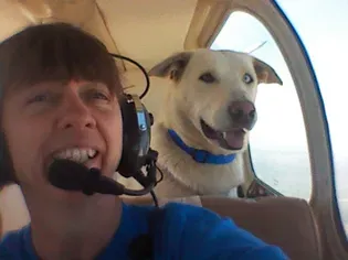 This Pilot Has Flown Some 100,000 Miles to Save Shelter Pets