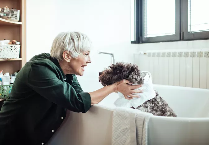 Can You Use Baby Shampoo on Dogs?