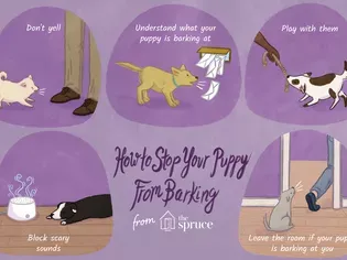 10 Ways to Help Stop a Puppy Dog From Barking