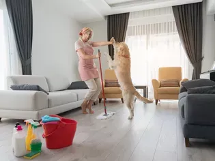 How to Keep Spring Cleaning Safe for Your Pets