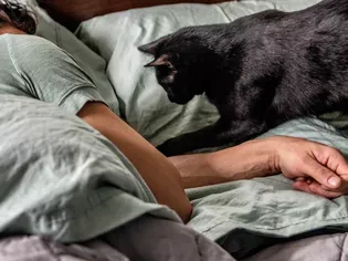 How to Stop Your Cat From Waking You Up at Night