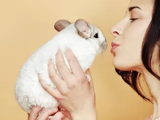 Exotic Pet Names for Your Chinchilla