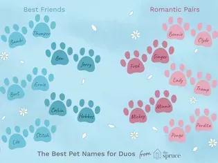 Name Ideas for Pairs of Pets