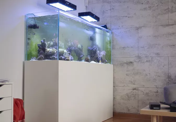 How Size Affects Aquarium Weight