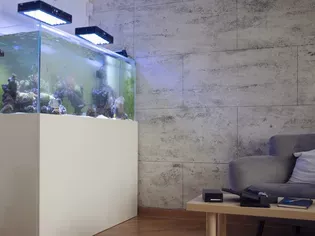 What to Use As a Fish Tank Stand (4 Options)