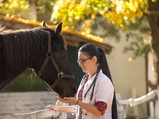 Equine Protozoal Myeloencephalitis (EPM) in Horses