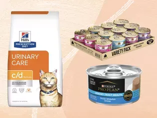 The 8 Best Cat Foods for Urinary Health in 2024