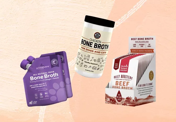 The 6 Best Bone Broth for Cats