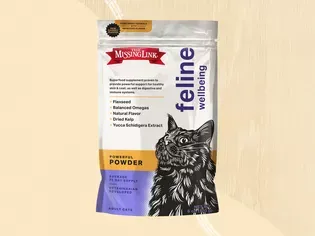 The 7 Best Cat Supplements, According to Real Cats