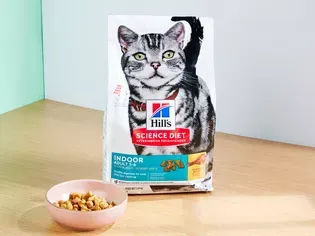 The 6 Best Premium Dry Cat Foods, According To 299 Cats