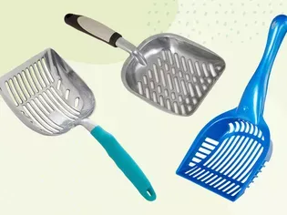 The 11 Best Cat Litter Scoops