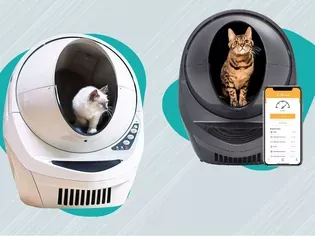 Litter-Robot 3 Connect Review