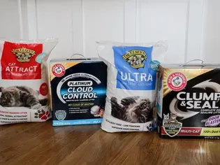 We Tested Eco-Friendly Cat Litters and Found The 6 Best