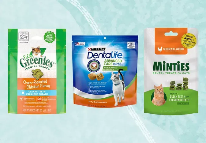 The 5 Best Dental Treats for Cats