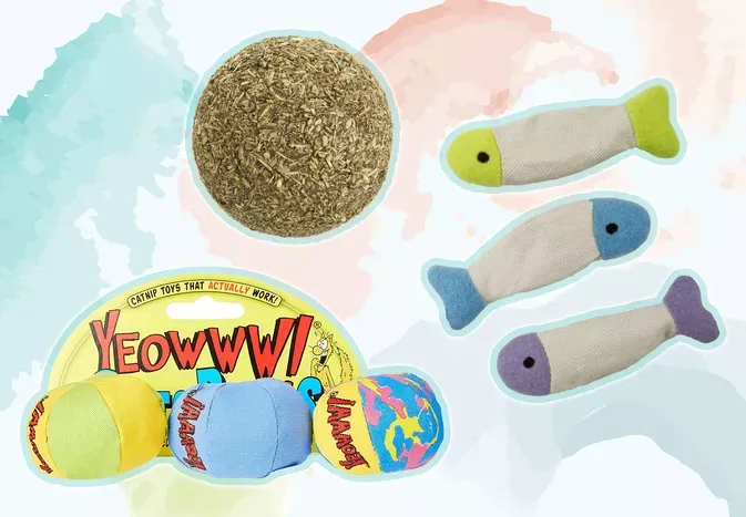 The 8 Most Irresistible Catnip Toys of 2024 for Your Cat