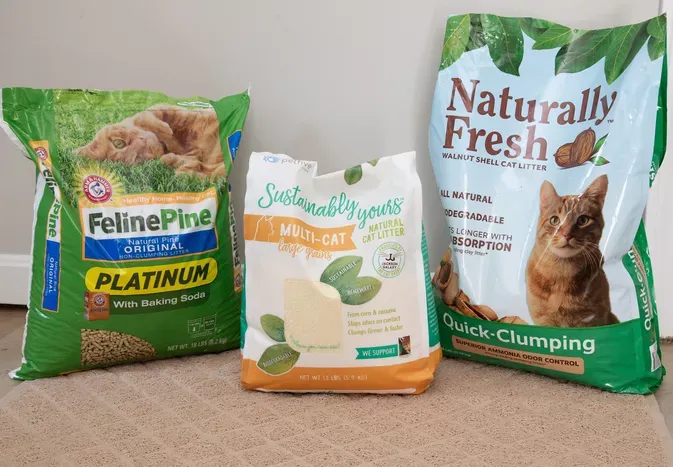 The 5 Best Cat Litters for Kittens, Tested and Reviewed