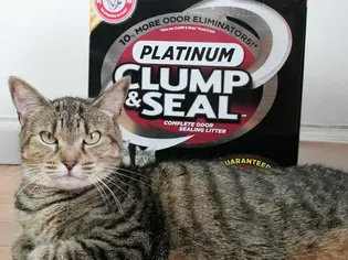Arm & Hammer Clump & Seal Cat Litter Really Stops Odors