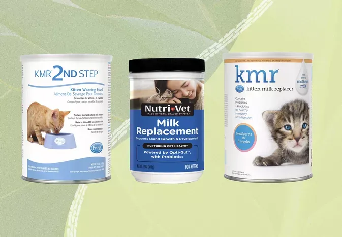 The 4 Best Milk Replacers for Kittens of 2024