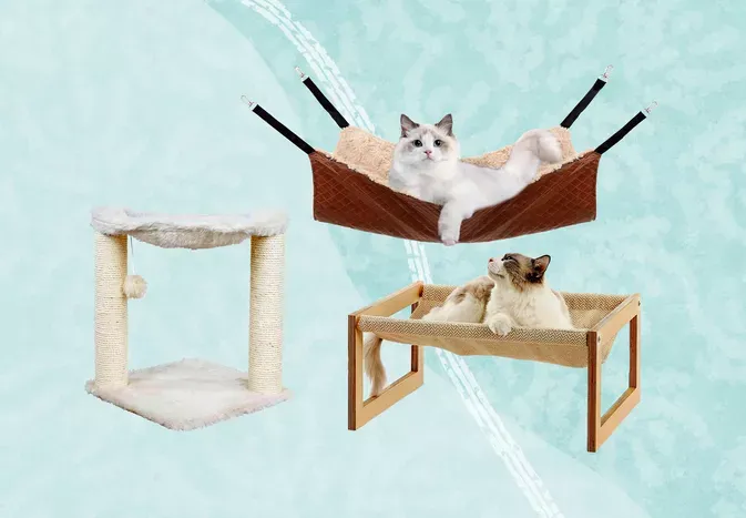 The 5 Best Hammocks for Your Cat’s Next Catnap