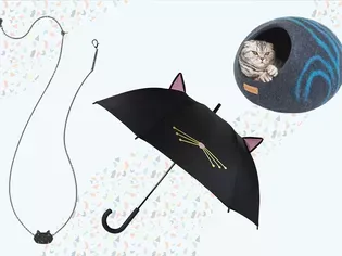 The 56 Best Gifts for Cats and Cat Lovers of 2024