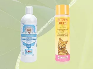 The Best Cat Shampoos