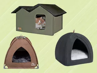 The 8 Best Cat Caves of 2024