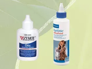 The 7 Best Dog Ear Cleaning Solutions of 2024