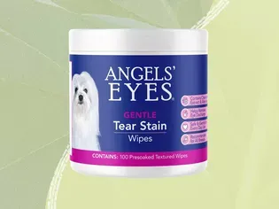 The 6 Best Dog Tear Stain Removers of 2024