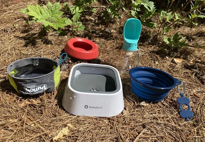 The 11 Best Travel Water Bowls for Dogs, Tested by Our Experts And Real Dogs