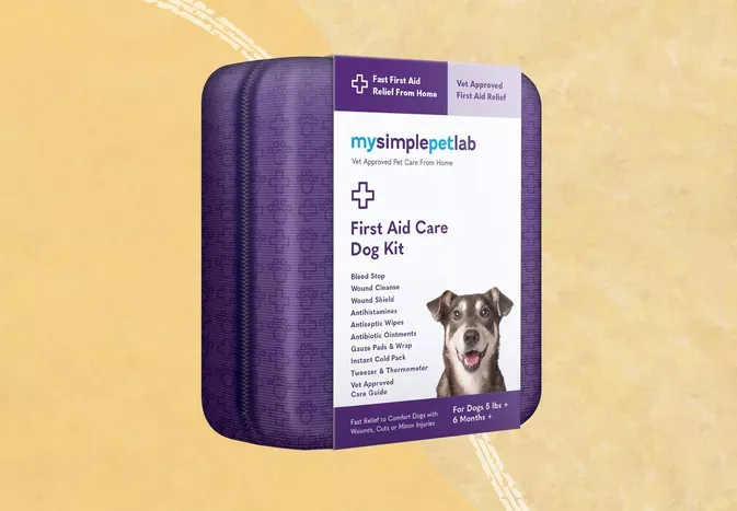 The 4 Best Dog First Aid Kits of 2024