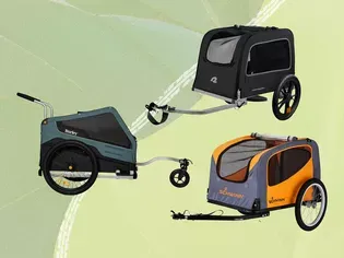 The Best Bike Trailers for Dogs of 2024