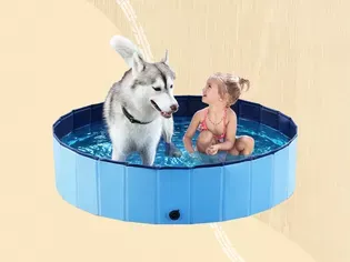 The Best Dog Swimming Pools For Cooling Off