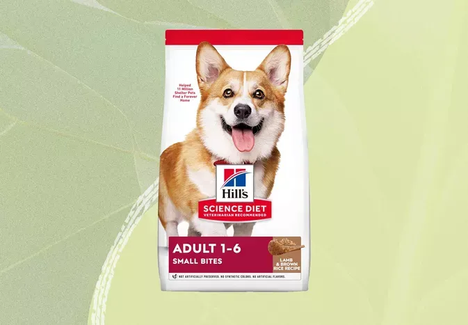 The 8 Best Dry Dog Foods, According To 407 Kibble-Loving Canines