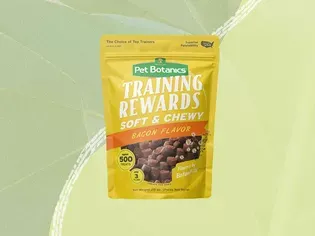 The 12 Best Healthy Dog Treats of 2024