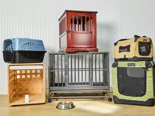 The 10 Best Dog Crates of 2024, Tested and Reviewed