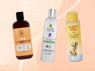 The 8 Best Puppy Shampoos of 2024