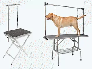 The 8 Best Dog Grooming Tables and Accessories of 2024