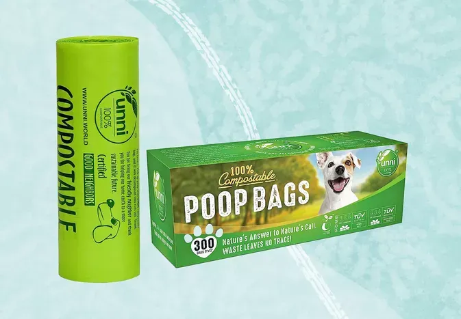 The 6 Best Compostable Dog Poop Bags, Tested and Reviewed