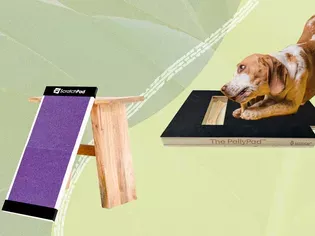 The 5 Best Dog Scratch Pads for Your Dog’s Nails