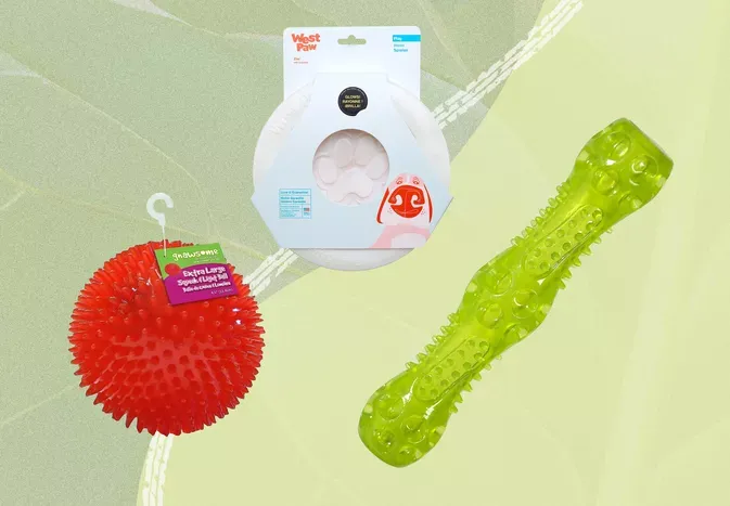 The 8 Best Light Up Dog Toys for Nighttime Play