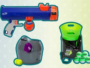 The 6 Best Automatic Dog Ball Launchers of 2024