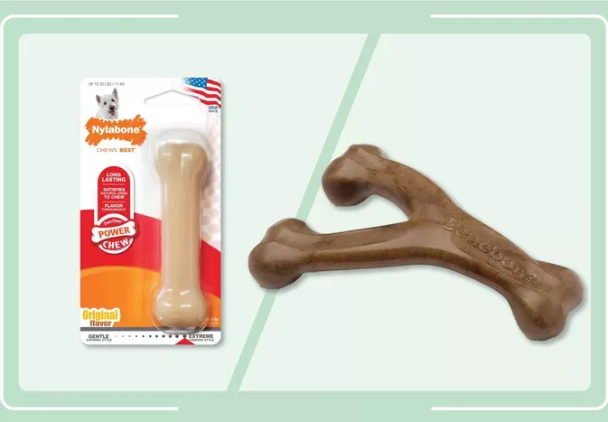 Benebone vs. Nylabone: Which Dog Chew Is Better For Your Dog?