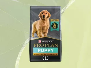 The 7 Best Puppy Foods of 2024, According To 400 Current and Former Puppies