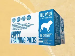 The 7 Best Puppy Pads of 2024, Tested and Reviewed