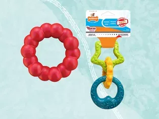 The 10 Best Teething Toys for Puppies of 2024