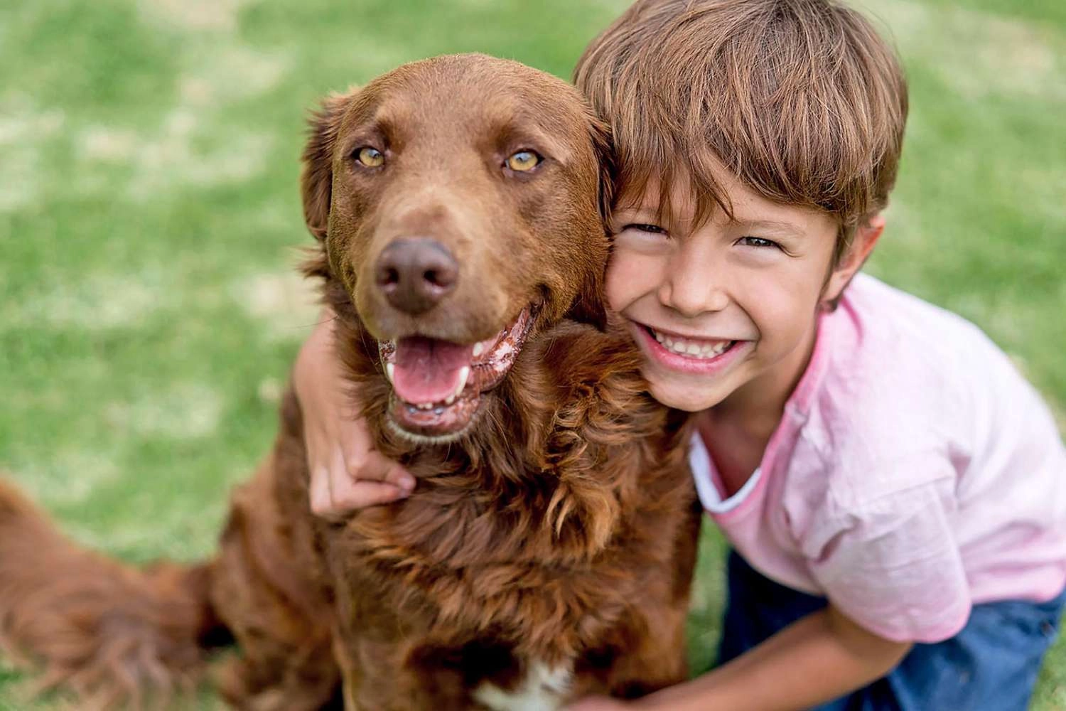 After More Than 1,200 Days in the Shelter, Coco Goes Home